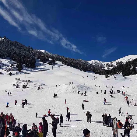 فندق Vager Levídhion