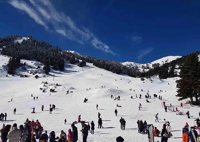 Hotel Vager Levídhion